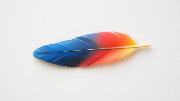 A colorful feather on a white surface photo