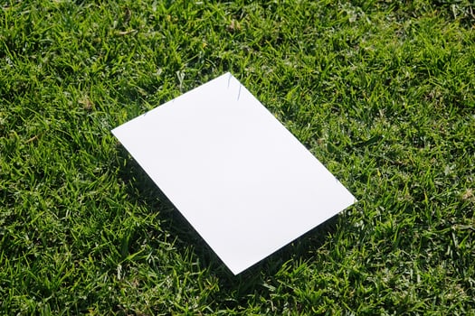 Mockup blank poster on green grass background photo