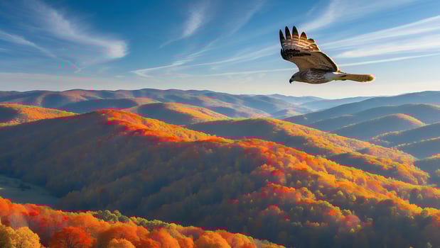 Bird Soaring Above Colorful Autumn Forest Hills Under a Blue Sky photo