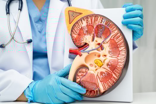 Chronic kidney disease eGFR photo