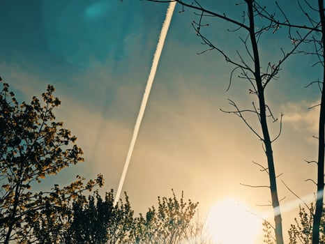 airplane trail in blue and orange sky over sunlit tree tops with light veil effect photo