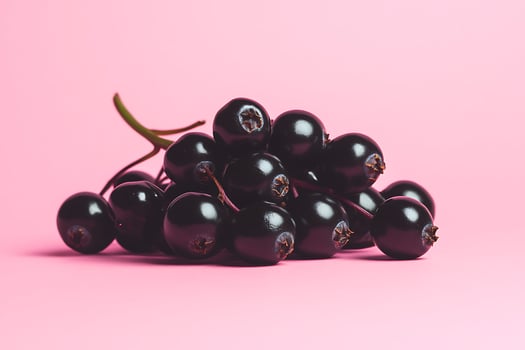 Fresh elderberries on light pink background photo