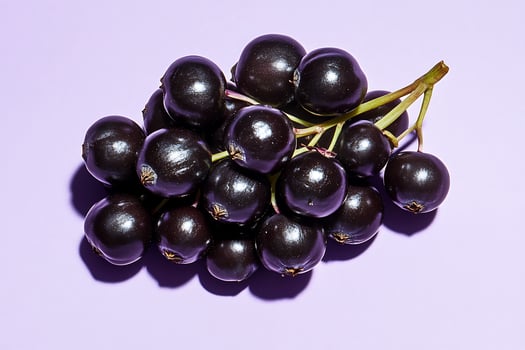 Fresh ripe elderberries against lilac background photo