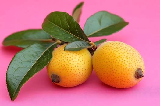 Loquats with leaves on pink background photo