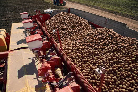 Bunch of fresh potatoes.. Agricultural ,machinery, tractor on the field. Conception of harvest photo