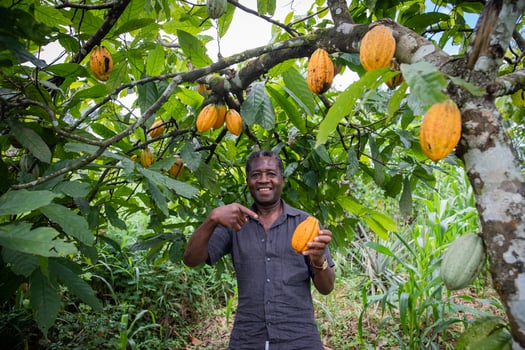 A satisfied farmer on his cocoa plantation photo