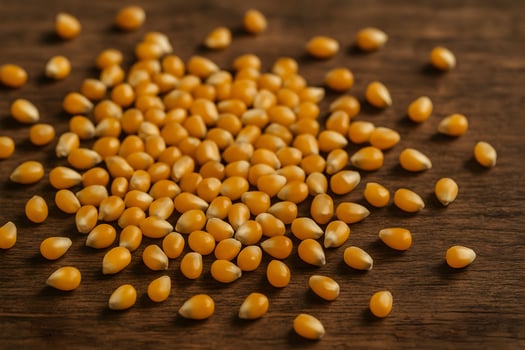 Harvesting corn kernels realistic photo of yellow seeds on wooden background agricultural close-up nature's bounty