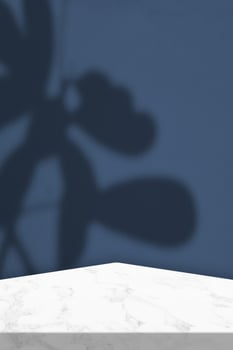 Marble Table with Leaves Shadow on Light Blue Wall in Vertical Background photo