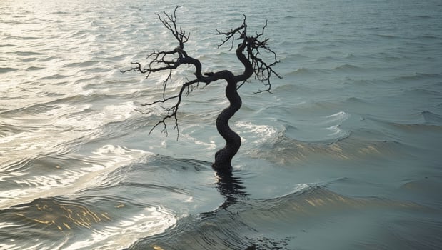 a twisting across a silver sea photo