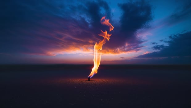 a flickering beneath a glowing sky photo