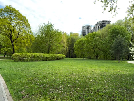 Urban park with green lawn, bushes, and trees. Modern high rise buildings under construction visible in the background. Calm open space blending nature and contemporary cityscape photo