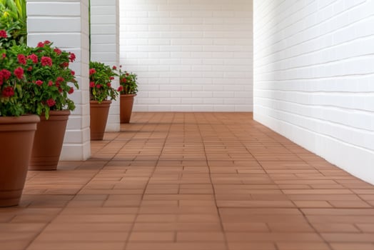 Elegant Terracotta Patio Path with Red Flowers photo