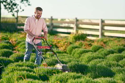 Using lawn mower. Adult farmer is outdoors. photo
