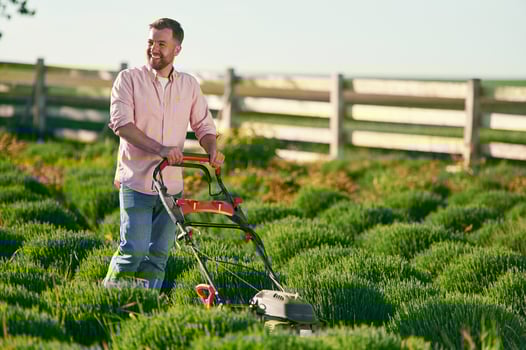 Using l,awn ,,mower. Adult farmer is outdoors photo