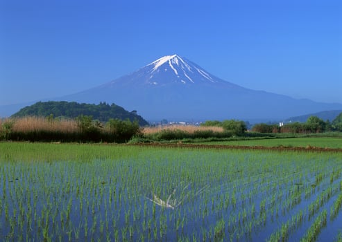 a mountain in the distance photo