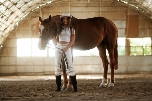 Standing and posing. Beautiful young woman is with horse indoors, photo