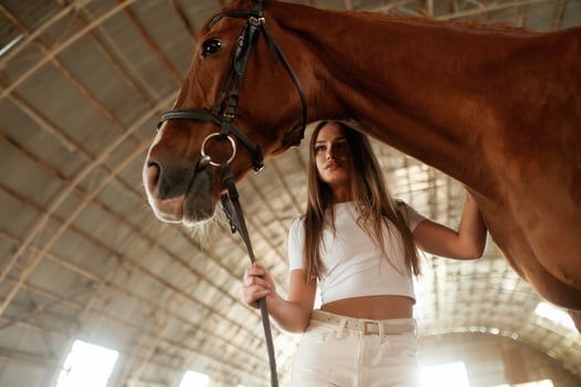 View from below. Beautiful young woman is with horse indoors. photo