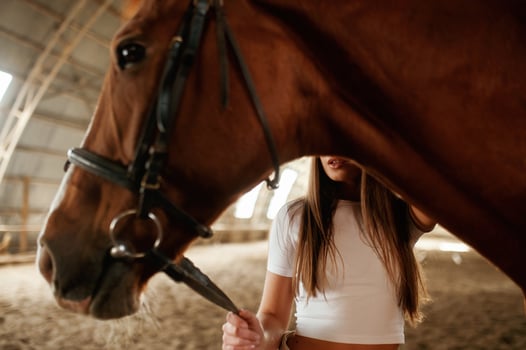 Behind an animal. Beautiful young woman is with horse indoors photo