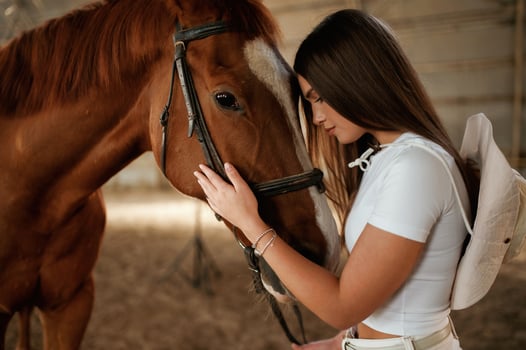Embracing the,, animal. Beautiful young, woman is with horse indoors photo