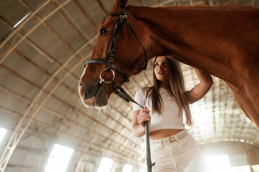 View, from below. Beautiful young ,woman is with horse indoors photo