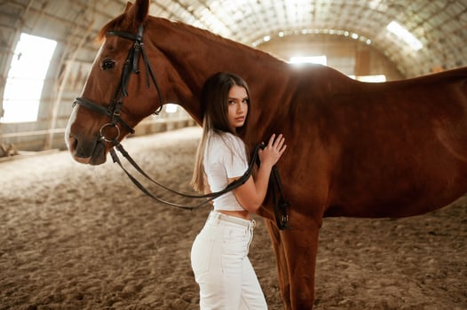 Touching, animal by hand ,,and looking at the camera. Beautiful young woman is with horse indoors photo