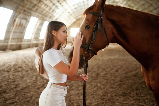Embracing, the, animal. Beautiful young woman is with horse indoors photo