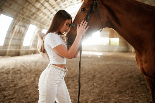 Side, view, embracing the animal. Beautiful young woman is with horse indoors photo
