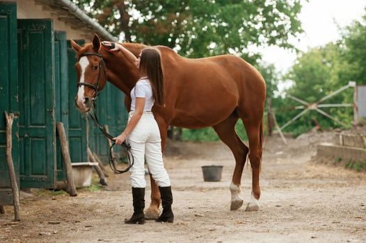 Young beautiful woman, is with a horse outdoors photo