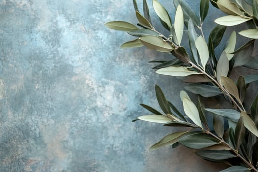 Olive branches resting on a textured blue background photo