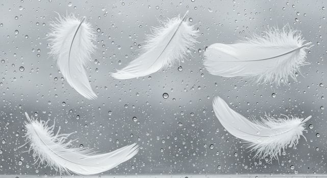 Five Soft White Feathers Gently Floating Down Against Glass Surface photo