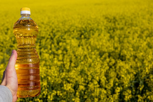 Yellow rapeseed flowers fill the landscape, while a hand presents a bottle of canola oil against the bright field backdrop photo