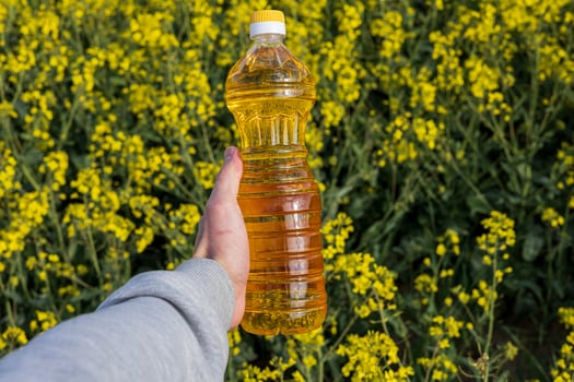 A person holds a bottle of canola oil in one hand amidst blooming rapeseed flowers in a bright yellow field on a sunny day photo