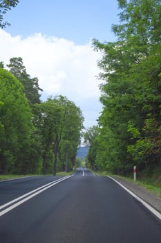 Scenic countryside road surrounded by lush green trees in bright sunlight photo