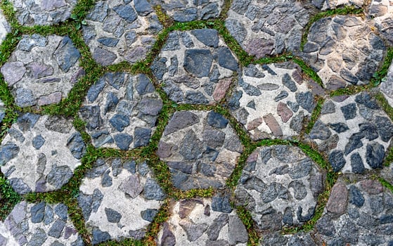 Stone surface of the sidewalk with green grass. Paving tiles. Natural background. Top view. photo