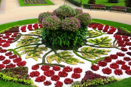 Beautiful floral garden design featuring vibrant red and purple flowers in a public park photo