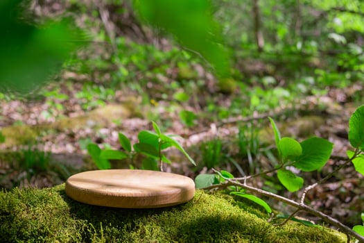Wooden podium on mossy ground in a tranquil forest setting and natural beauty photo