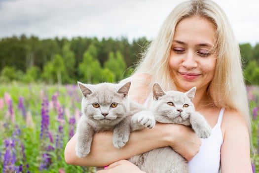 moscow, russia, 13.07.2017 A woman is holding two cats in her arms photo