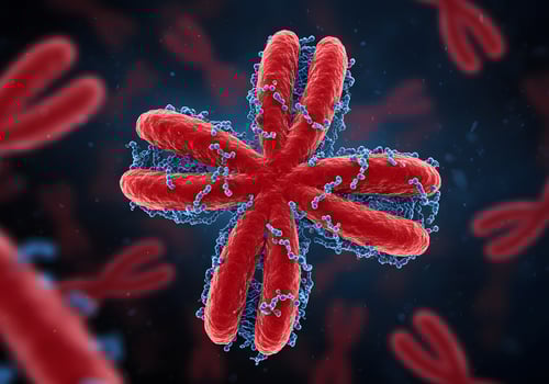 Microscopic view of chromosomes photo
