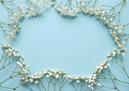 Elegant Baby's Breath Flower Frame on Pastel Blue Background photo