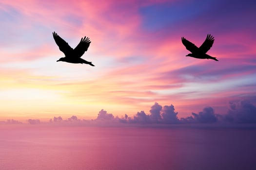 Two birds flying over the ocean at sunset photo