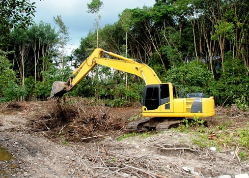 Yellow Excavator Clearing Land in Forested Area for Construction or Development Project photo