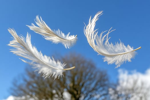 Three white feathers flying in the air photo