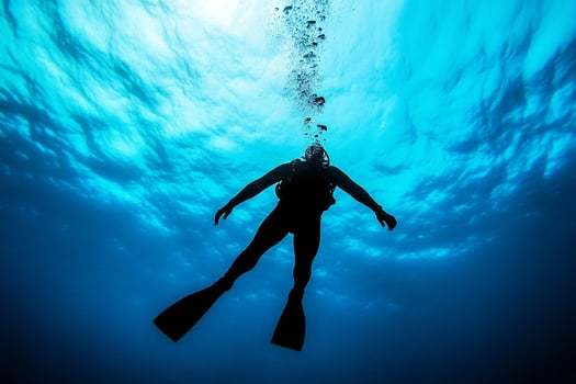 A person in a scuba suit swimming in the ocean photo