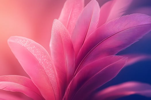Pink Feather Texture with Dewdrops for Elegant Background Design photo
