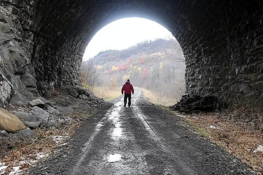 A person walking through a tunnel in the woods photo