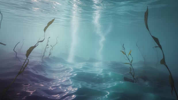 A scene of water and plants in the ocean photo