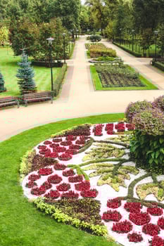 Beautiful garden filled with colorful flowers and well-maintained paths in a public park photo