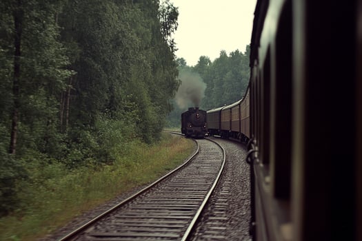 A train traveling down a track through a forest photo