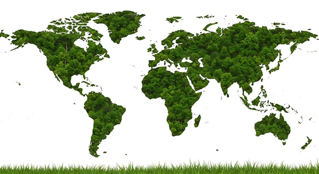 Green world map on grass photo