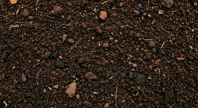 A close up of soil with rocks and dirt photo